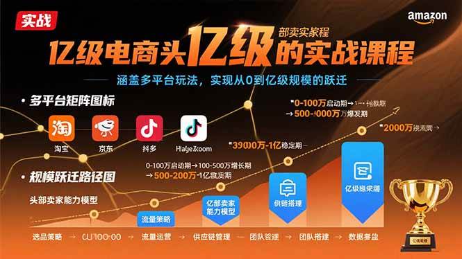 (15803期)亿级电商头部卖家的实战课程:涵盖多平台玩法,实现从0到亿级规模的跃迁-来福网创