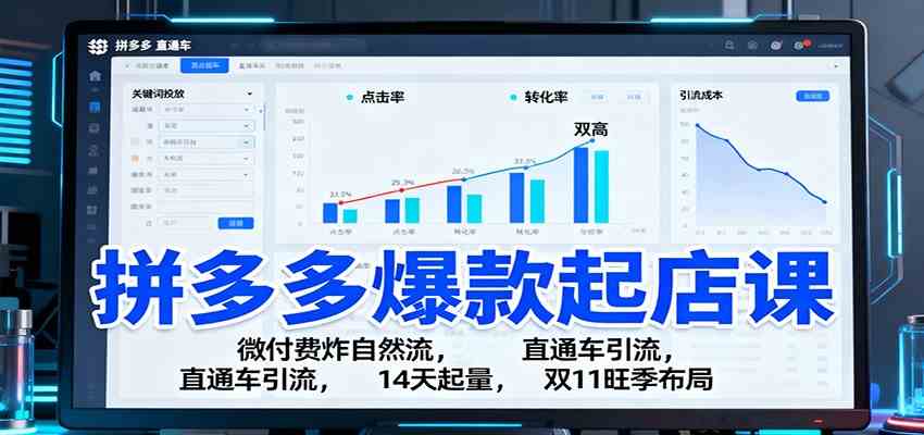 拼多多爆款起店课:微付费炸自然流,直通车引流,14天起量,双11旺季布局-来福网创
