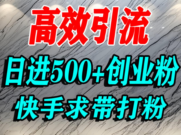 怎么打创业粉?快手求带视角精准引流创业粉,宝妈、学生群体日进500+精准流量-来福网创