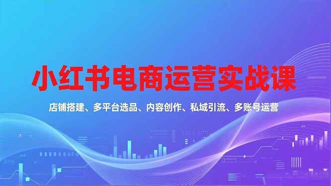 (16695期)小红书电商运营实战课,店铺搭建、多平台选品、内容创作、私域引流、多账号运营等玩法-来福网创