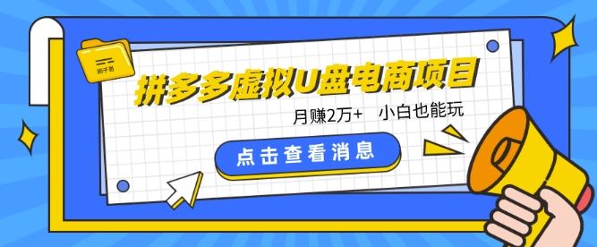 拼多多虚拟U盘电商红利项目：月赚2万+，新手小白也能玩-来福网创