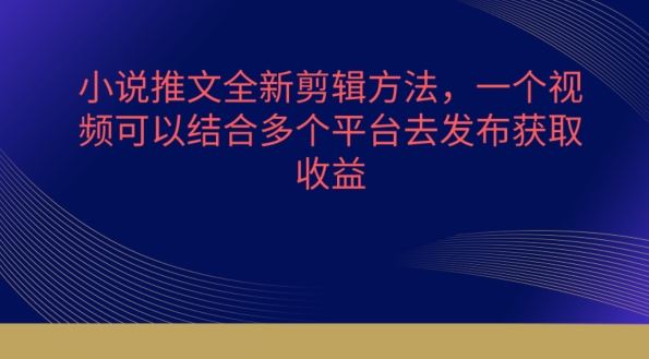 小说推文全新剪辑方法，一个视频可以结合多个平台去发布获取【揭秘】-来福网创