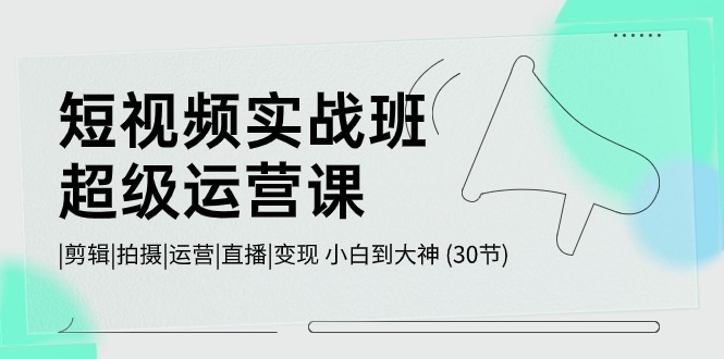 短视频实战班超级运营课 |剪辑|拍摄|运营|直播|变现 小白到大神 (30节)-来福网创