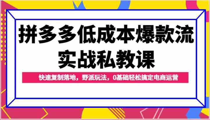 拼多多低成本爆款流实战私教课，快速复制落地，野派玩法，0基础轻松搞定电商运营-来福网创