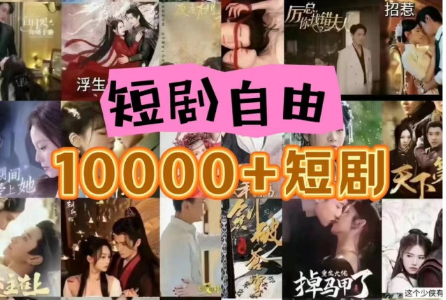 打造完全属于自己的个人短剧库，实现网盘拉新与私域变现的完美融合！-来福网创