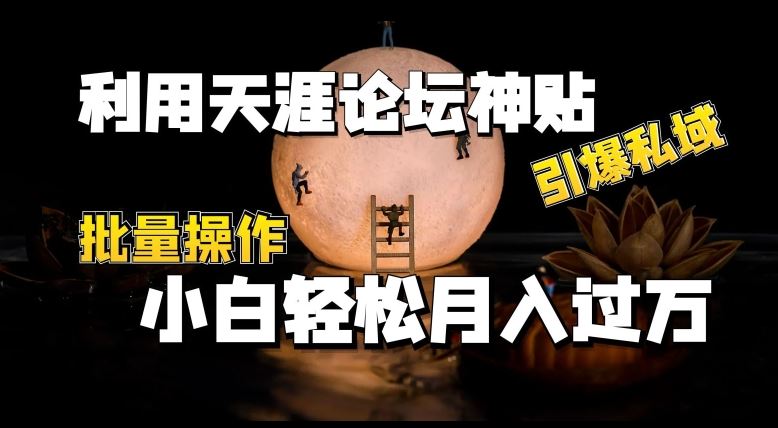利用天涯论坛神贴，引爆私域，批量操作，小白轻松月入过w【揭秘】-来福网创