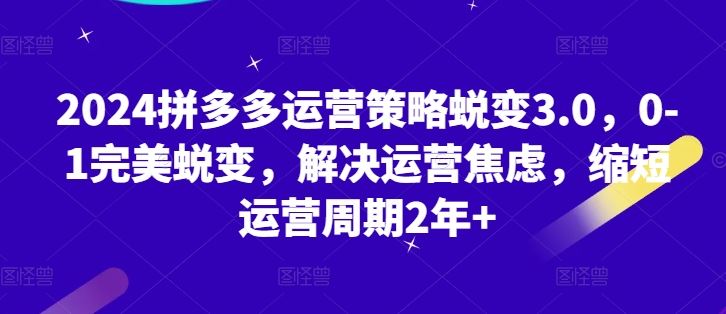 2024拼多多运营策略蜕变3.0，0-1完美蜕变，解决运营焦虑，缩短运营周期2年+-来福网创