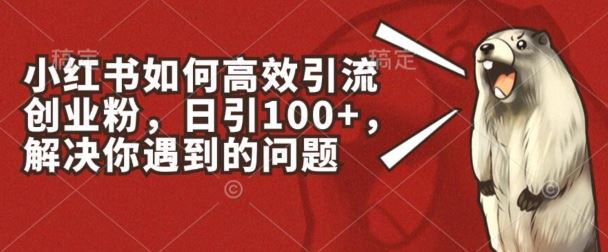 小红书如何高效引流创业粉，日引100+，解决你遇到的问题【揭秘】-来福网创