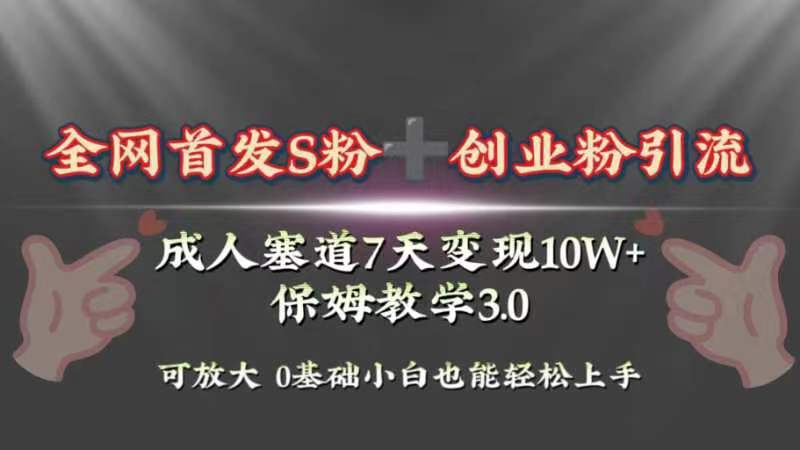 （8337期）全网首发s粉加创业粉引流变现，成人用品赛道7天变现10w+保姆教学3.0-来福网创