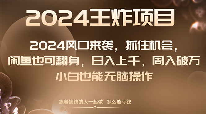 （8401期）2024风口项目来袭，抓住机会，闲鱼也可翻身，日入上千，周入破万，小白…-来福网创