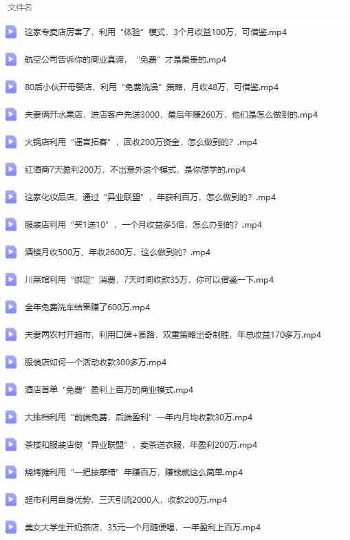 图片[8]-（9607期）真实有效391套商业模式，年入几十到几百万案例解析（电子书+视频+图文）-来福网创