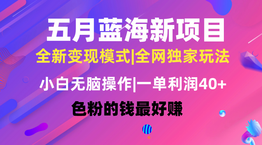 （10477期）五月蓝海项目全新玩法，小白无脑操作，一天几分钟，矩阵操作，月入4万+-来福网创