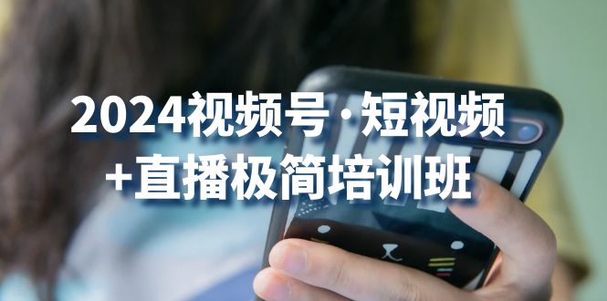 （10797期）2024视频号·短视频+直播极简培训班：抓住视频号风口，流量红利-来福网创