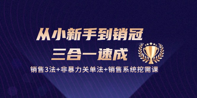 （10799期）从小新手到销冠 三合一速成：销售3法+非暴力关单法+销售系统挖需课 (27节)-来福网创