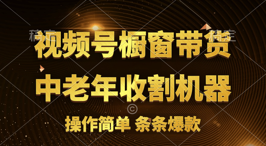 （11009期）[你的孩子成功取得高位]视频号最火爆赛道，橱窗带货，流量分成计划，条…-来福网创