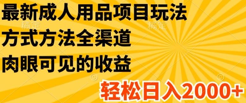 最新成人用品项目玩法，方式方法全渠道，轻松日入2K+【揭秘】-来福网创