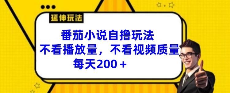 番茄小说自撸玩法，不看播放量，不看视频质量，每天200+【揭秘】-来福网创