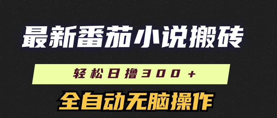 （11904期）最新番茄小说搬砖，日撸300＋！全自动操作，可矩阵放大-来福网创