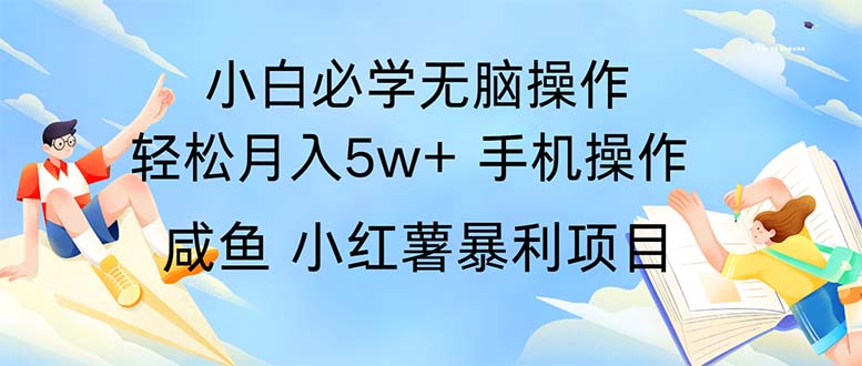 （11953期）2024热门暴利手机操作项目，简单无脑操作，每单利润最少500-来福网创