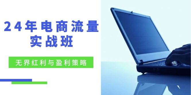 （12168期）24年电商流量实战班：无界 红利与盈利策略，终极提升/关键词优化/精准…-来福网创