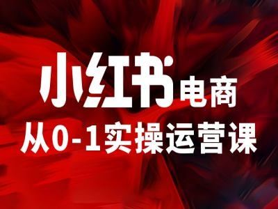 小红书电商从0-1实操运营课，让你从小白到精英-来福网创