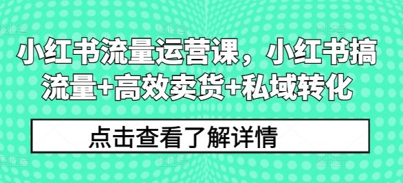 小红书流量运营课，小红书搞流量+高效卖货+私域转化-来福网创