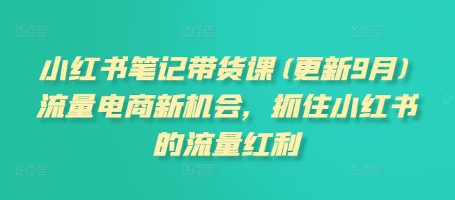 小红书笔记带货课(更新9月)流量电商新机会，抓住小红书的流量红利-来福网创