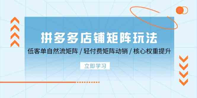 拼多多店铺矩阵玩法：低客单自然流矩阵 / 轻付费矩阵 动销 / 核心权重提升-来福网创