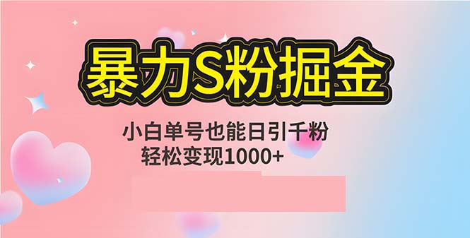 （12778期）单人单机日引千粉，变现1000+，S粉流量掘金计划攻略-来福网创