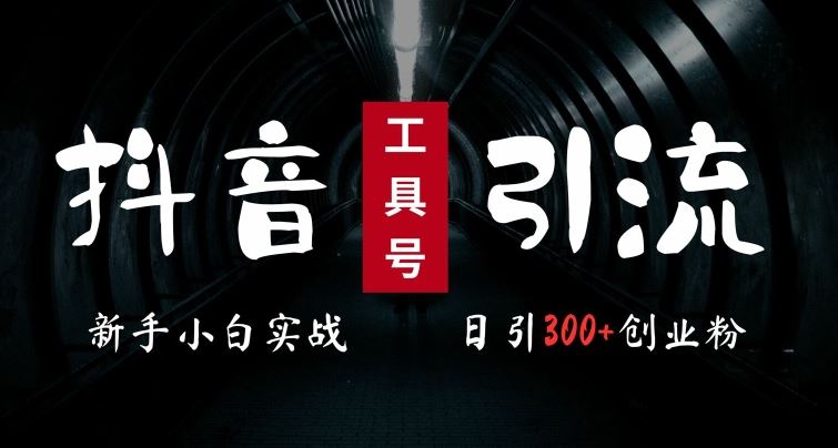 2024最新抖音工具号引流玩法，高效日引300+创业粉，当天变现5k，小白也可成为实战高手-来福网创
