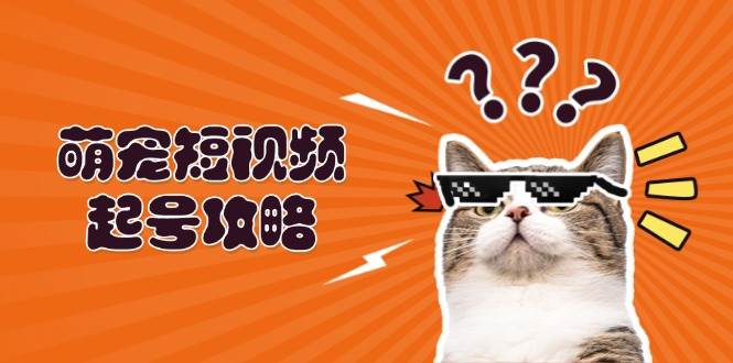 萌宠短视频起号攻略：定位搭建推流全解析，助力新手轻松打造爆款-来福网创