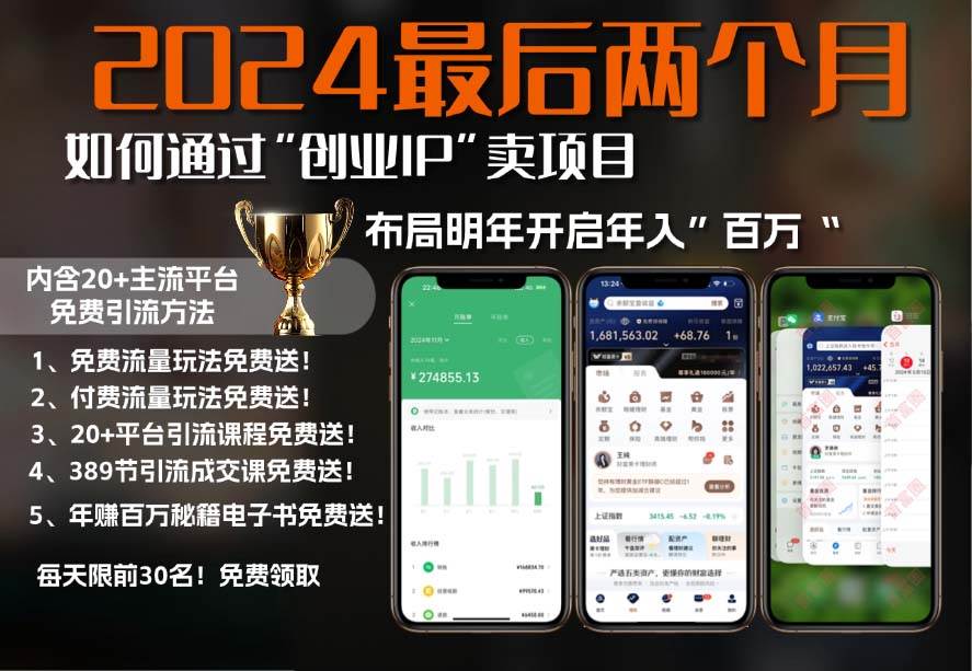 （13322期）2024最后两个月如何通过”创业IP“卖项目年入”百万“,创业IP+最强引流…-来福网创