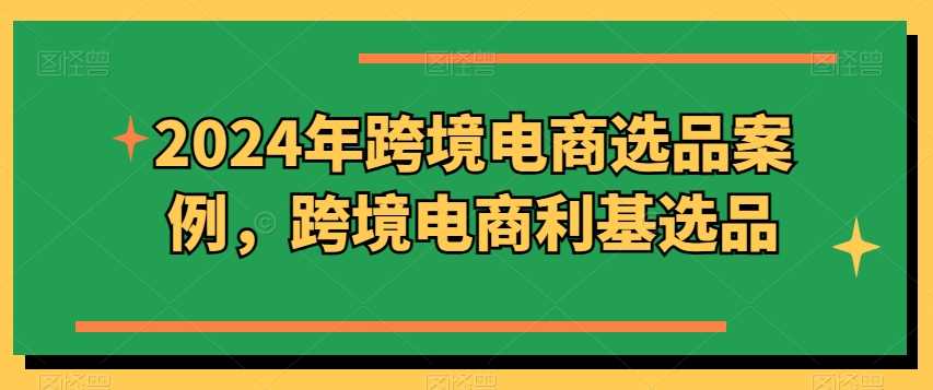 2024年跨境电商选品案例，跨境电商利基选品（更新11月）-来福网创
