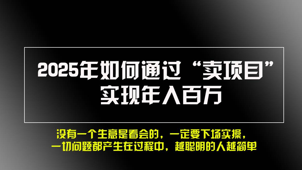 （13468期）2025年如何通过“卖项目”实现年入百万，做网赚必看！！-来福网创