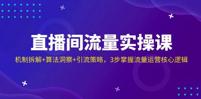 （14122期）直播间流量实操课：机制拆解+算法洞察+引流策略，3步掌握流量运营核心逻辑-来福网创