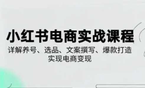 小红书从0-1实操课(2023-2025)，详解养号、选品、文案撰写、爆款打造实现电商变现-来福网创
