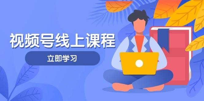 （14360期）视频号实战课程，轻IP打造与运营技巧，掌握核心方法与策略-来福网创