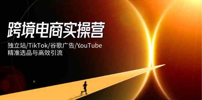 跨境电商实操营：独立站/TikTok/谷歌广告/YouTube，精准选品与高效引流-来福网创