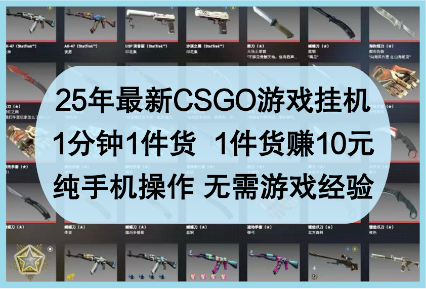 25年最新CSGO游戏挂机，1分钟1件货，1件货赚10元，纯手机操作，无需游戏经验-来福网创