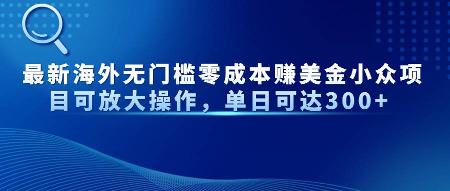 （14542期）最新海外无门槛零成本赚美金小众项目可放大操作，单日可达300+-来福网创
