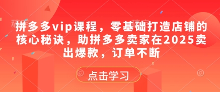 拼多多vip课程，零基础打造店铺的核心秘诀，助拼多多卖家在2025卖出爆款，订单不断-来福网创