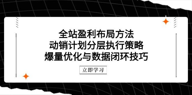 （14698期）全站盈利布局方法：动销计划分层执行策略，爆量优化与数据闭环技巧-来福网创