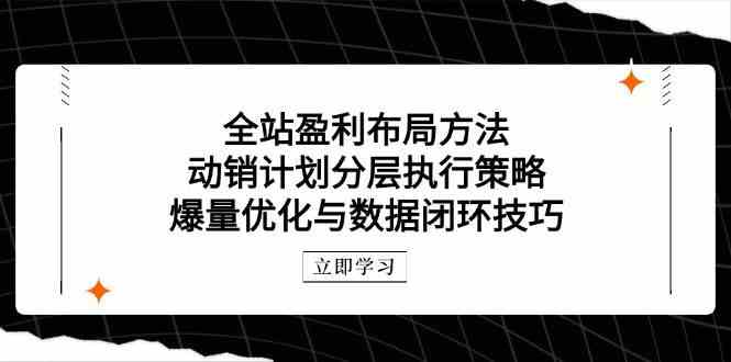 全站盈利布局方法：动销计划分层执行策略，爆量优化与数据闭环技巧-来福网创