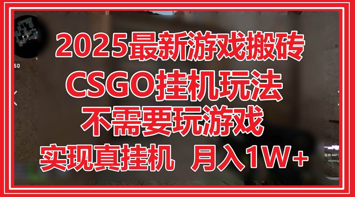（14743期）2025最新游戏搬砖，CSGO挂机，不需要玩游戏，实现真挂机，月入1W+-来福网创