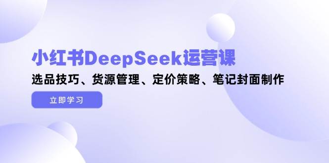 小红书DeepSeek运营课，选品技巧、货源管理、定价策略、笔记封面制作-来福网创