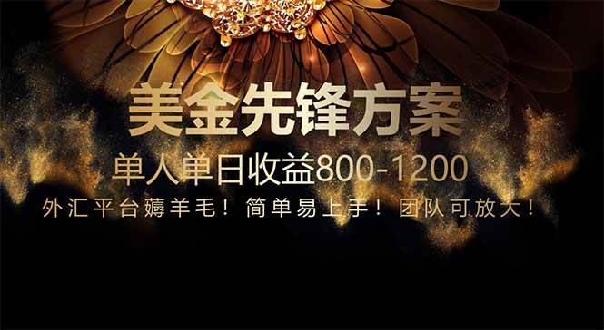（14761期）免费技术！小众赛道！一年布局抵三年努力，每日800+-来福网创