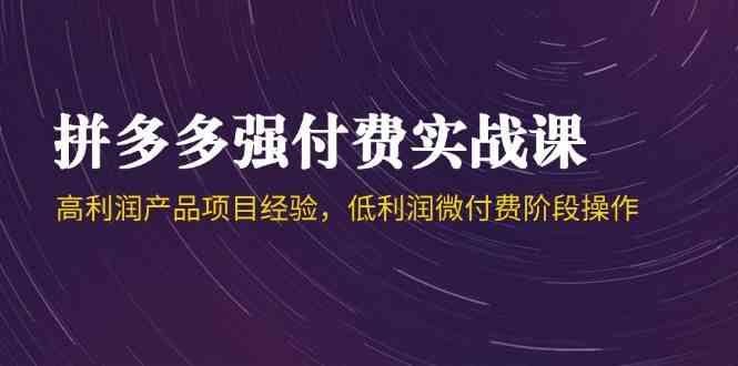 拼多多强付费实战课-44期，高利润产品项目经验，低利润微付费阶段操作-来福网创