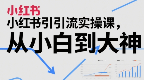 小红书引流实操课，从小白到大神-来福网创