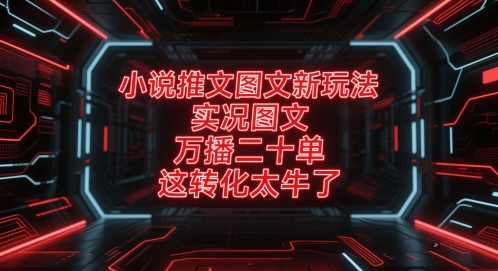 小说推文图文新玩法，实况图文，万播二十单，这转化太牛了！-来福网创