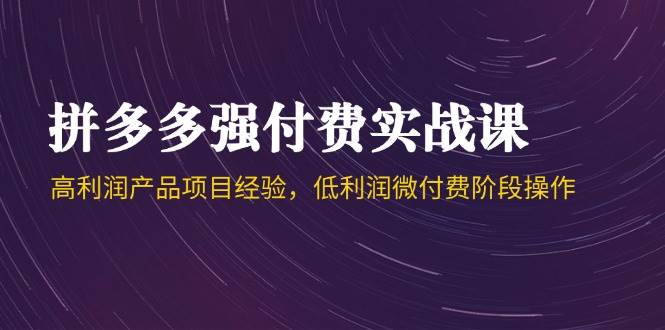 （14874期）拼多多强付费实战课-44期，高利润产品项目经验，低利润微付费阶段操作-来福网创